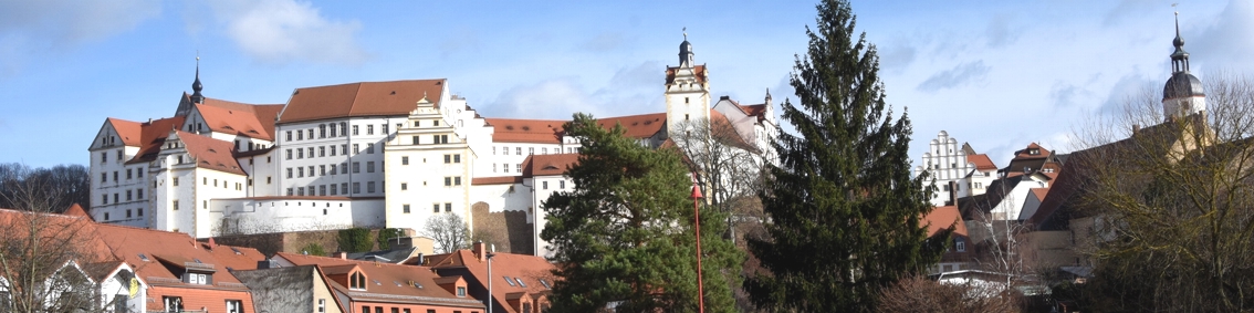 Schloss Colditz ber der Stadt