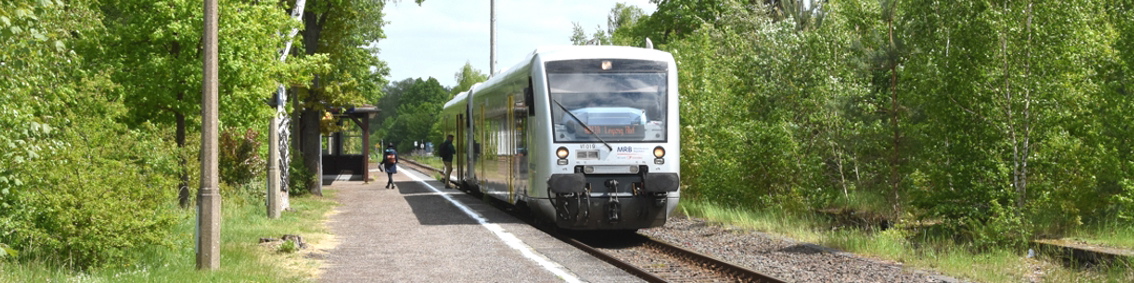 Mit dem 49-Euro-Ticket nach Tanndorf