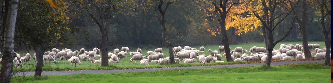 Herbst im Auenbachtal
