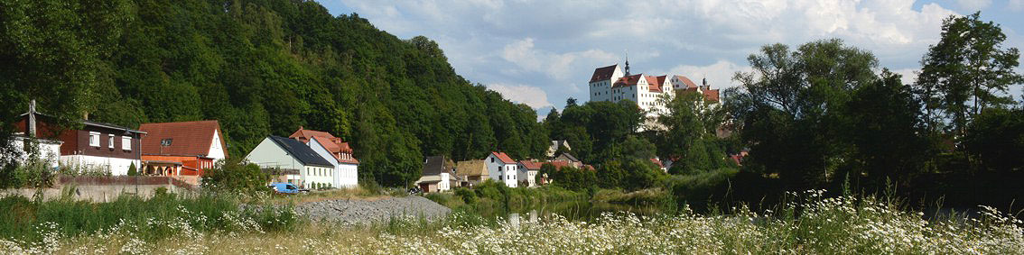 Schloss Colditz aus der Sicht "vom Ufer"