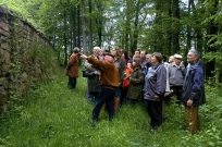 Reste des Weinanbaues an der Mauer