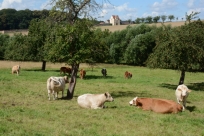 Blick aus Kaltenborn