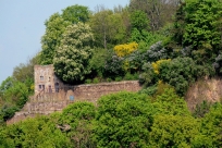 Die Kurfürstliche Gartenlaube