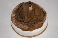 Ein Sturzhelm aus dem 16. Jahrhundert