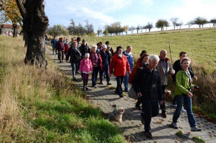 Von Koltzsche n in das Auenbachtal