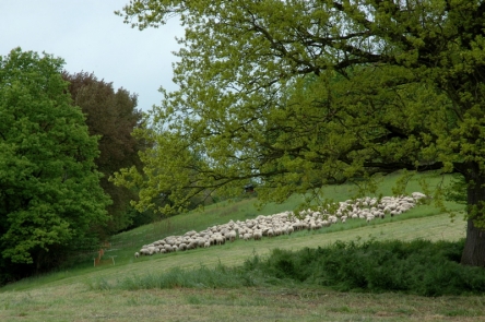 Ein erholsamer Ort, das Auenbachtal