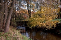 Herbststimmung am Auenbachtal