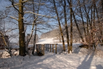 Winter im Auenbachtal