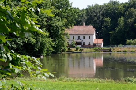 Am Teichhaus - Eingang zum Colditzer Wald