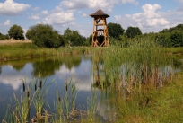 Der Glockenturm am Teich