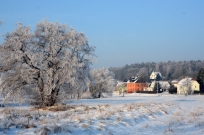 Winterstimmung an der Mulde