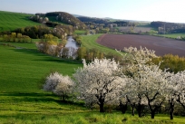 Ein herrliches Panorama