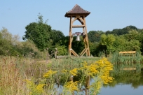 Teich mit Glockenturm